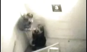 Gadis video seks dengan adik ipar itu adalah dengan operasi, teman.